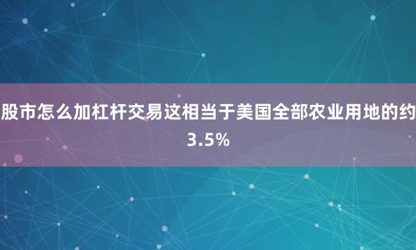 股市怎么加杠杆交易这相当于美国全部农业用地的约3.5%